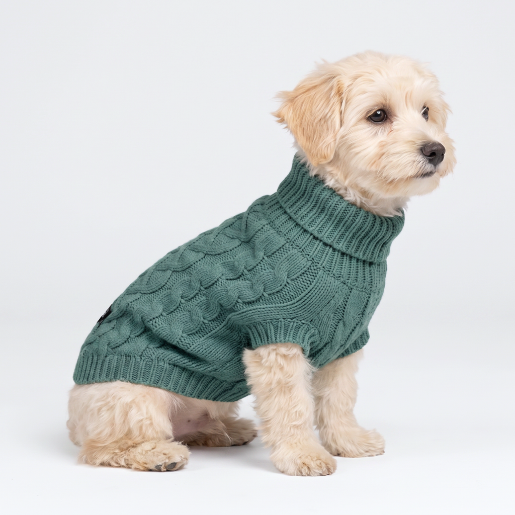 Spark Paws - Jersey de punto trenzado para perros - Pino Verde