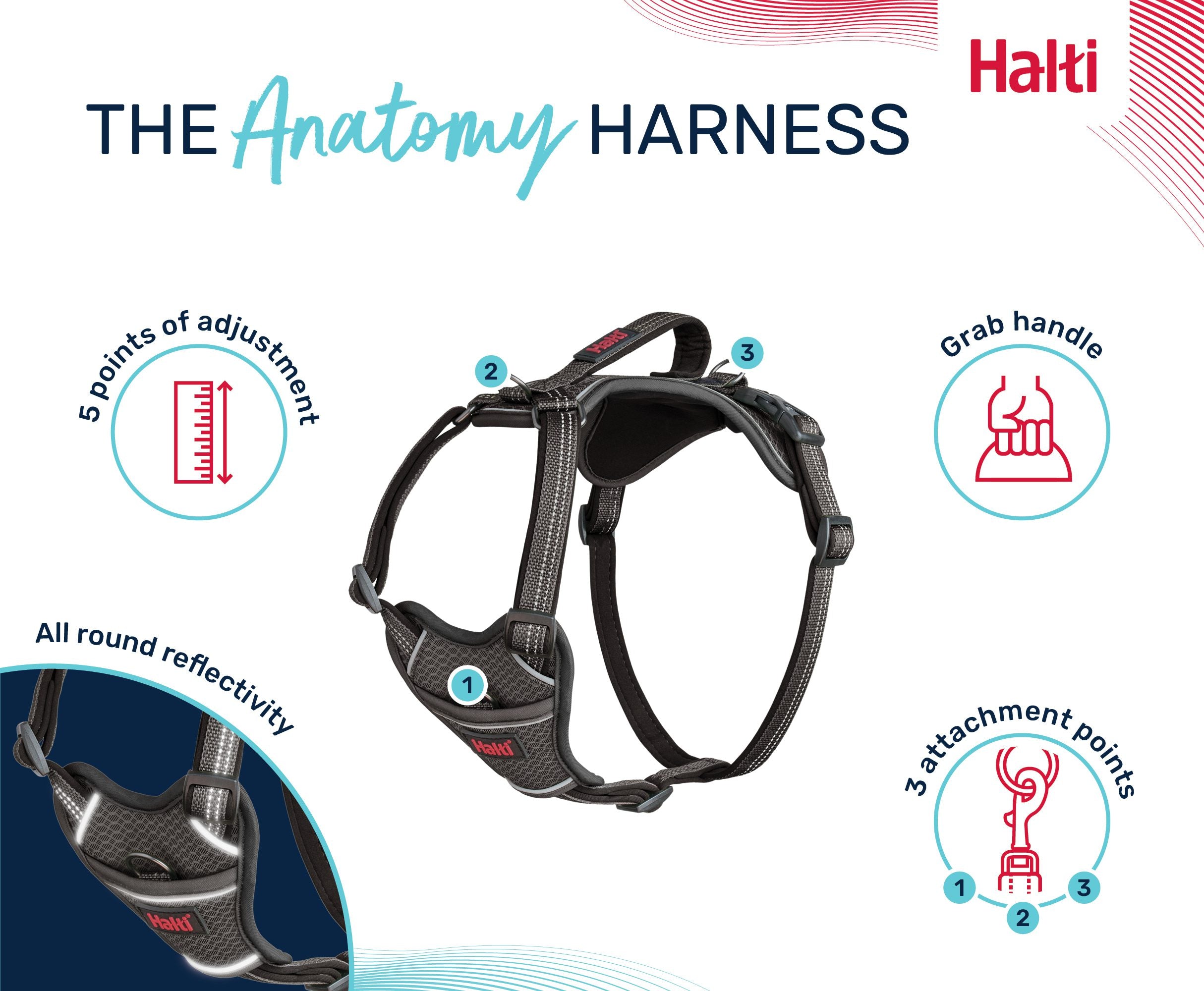 Halti – Anatomy Harness L Aquamarine – Reflective