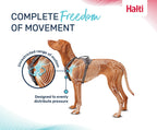 Halti – Anatomy Harness M Grey – Reflective