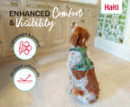 Halti – Anatomy Harness M Grey – Reflective