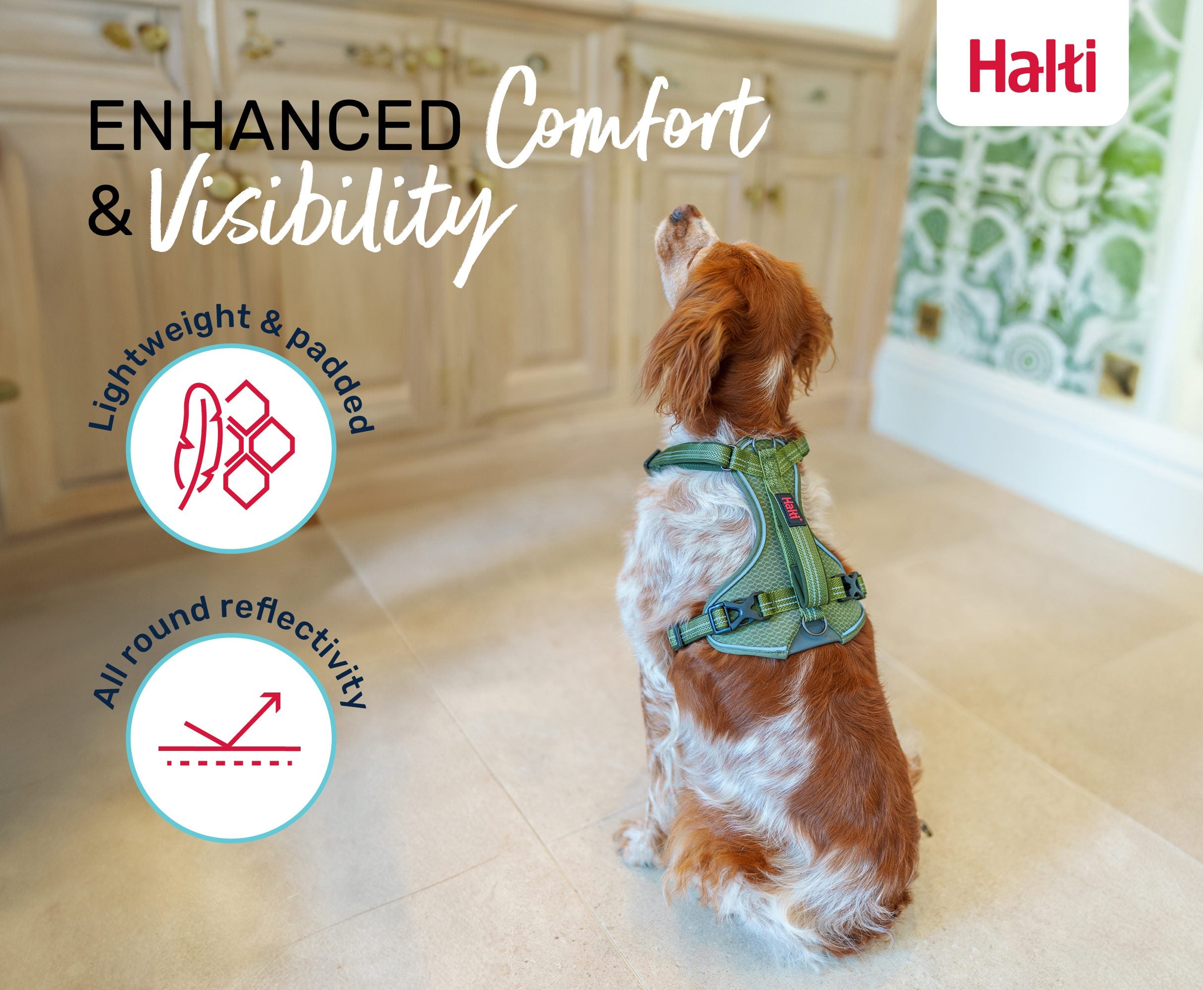 Halti – Anatomy Harness L Aquamarine – Reflective