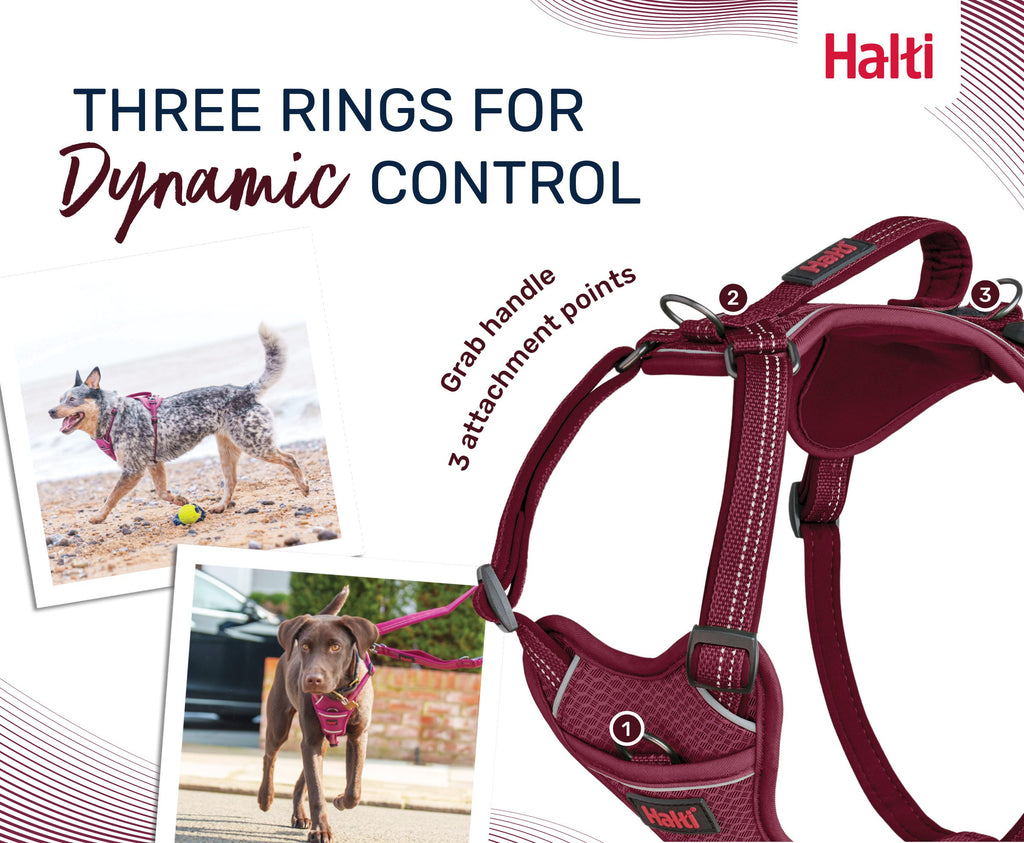 Halti – Anatomy Harness M Grey – Reflective