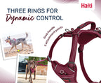 Halti – Anatomy Harness M Grey – Reflective