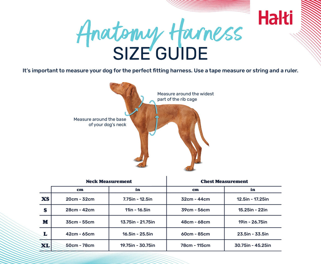 Halti – Anatomy Harness M Grey – Reflective
