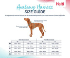 Halti – Anatomy Harness M Grey – Reflective