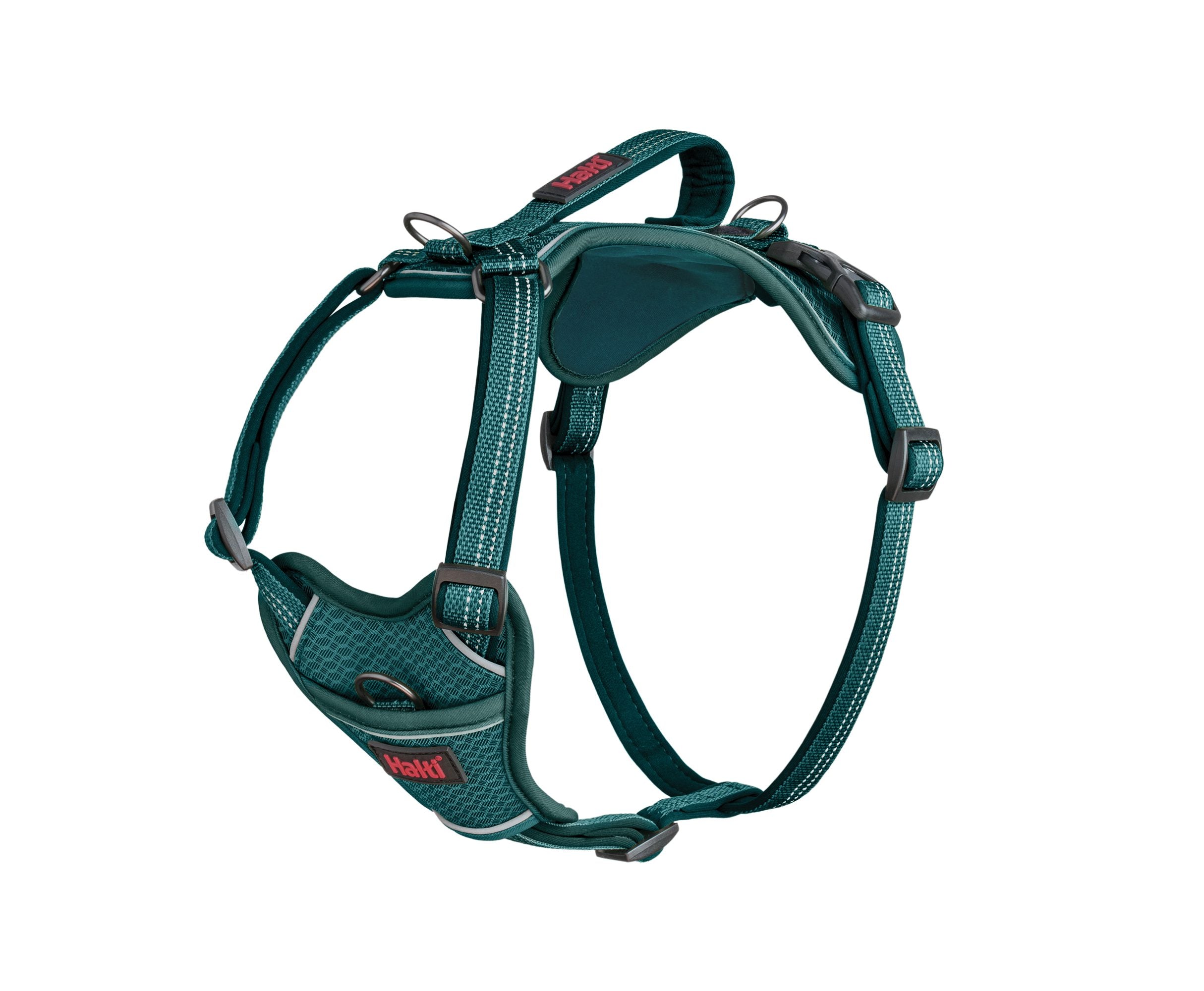Halti – Anatomy Harness L Aquamarine – Reflective