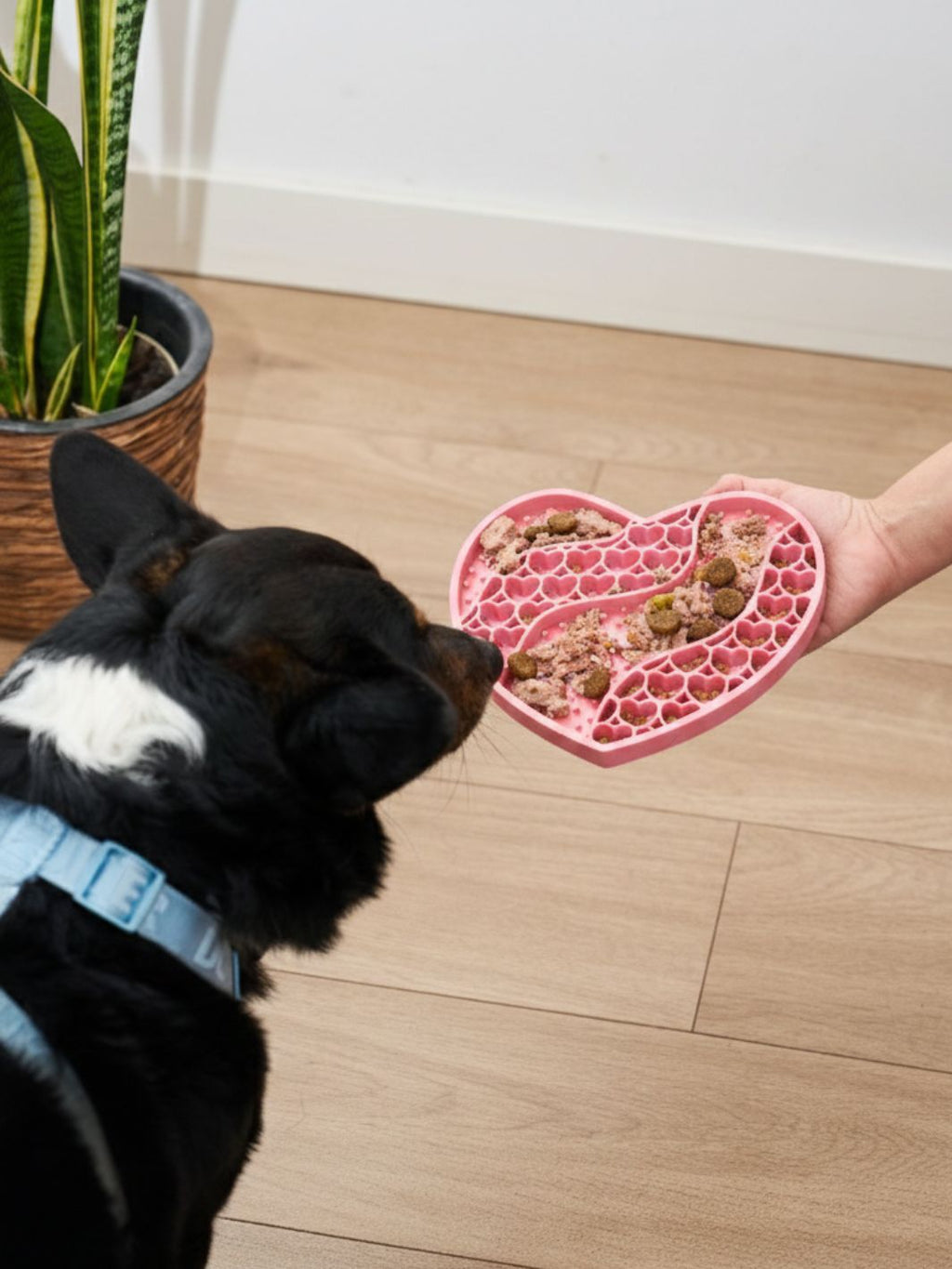 Dukier – Alfombrilla Lame - Silicona Alimentaria Reductora de Estrés