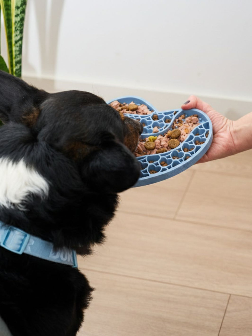 Dukier – Alfombrilla Lame - Silicona Alimentaria Reductora de Estrés