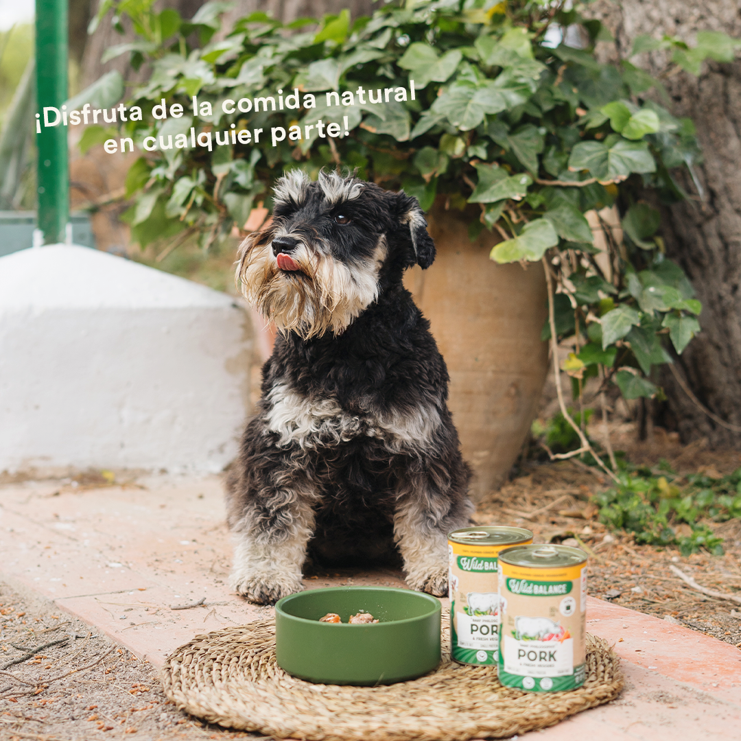 Wild Balance Wet Dog Food - Pork & Veggies - Adult Dogs
