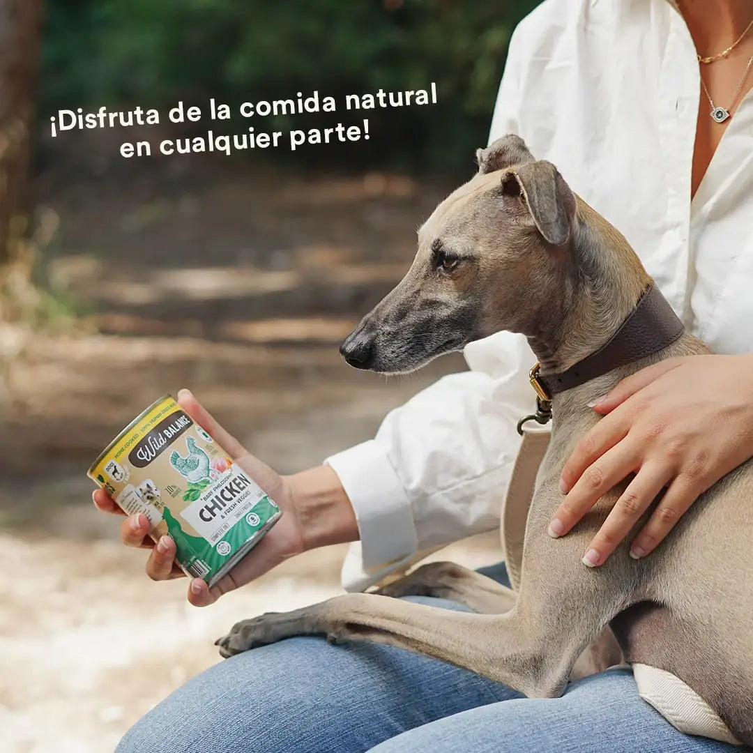 Wild Balance Wet Dog Food - Chicken & Veggie Delight - Adult Dogs