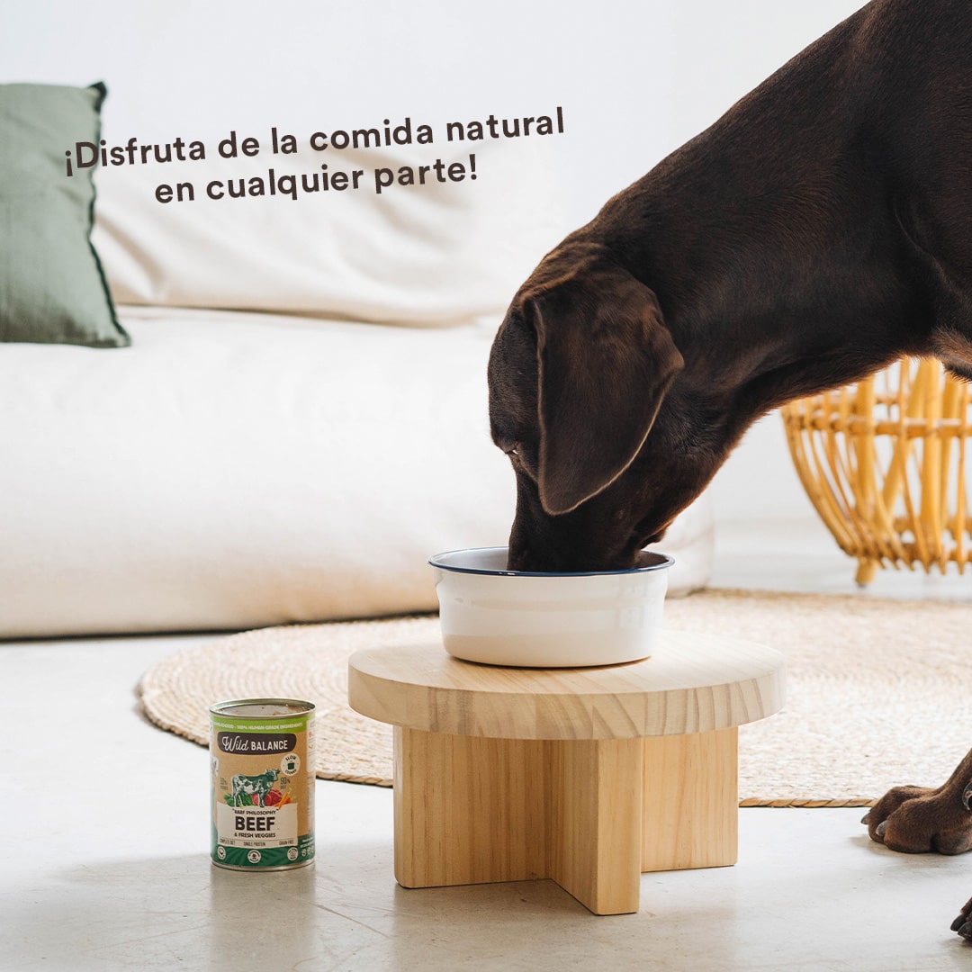 Wild Balance Wet Dog Food - Beef & Veggies - Adult Dogs