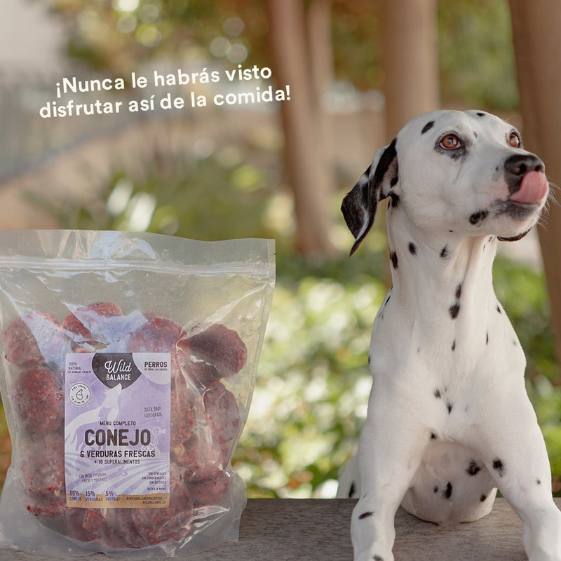 Wild Balance BARF Raw Dog Food - Rabbit Single‑Protein (Frozen, All Ages)