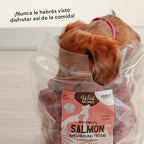 Wild Balance BARF Raw Dog Food - Salmon & Turkey - All Ages (Frozen)