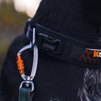 Non-stop dogwear Rock Adjustable Leash - Negro - Resistente y Versátil