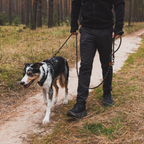 Non-stop dogwear Rock Adjustable Leash - Negro - Resistente y Versátil