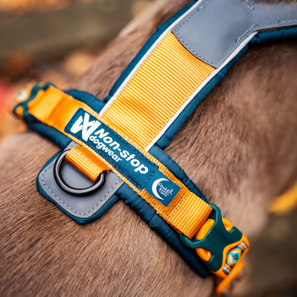 Non-stop dogwear Line Harness 5.0 - Teal/Oak - Resilient & Versatile