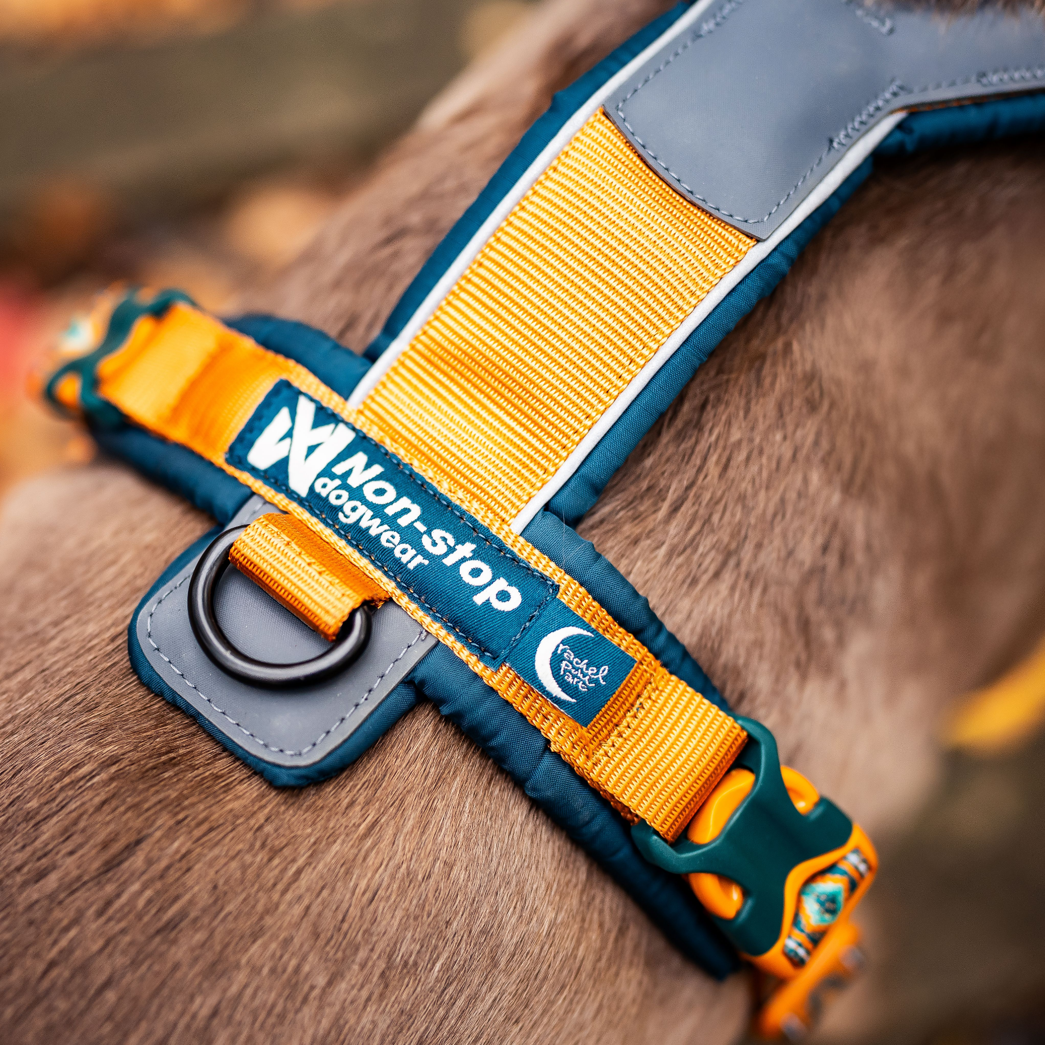 Non-stop dogwear Line Harness 5.0 - Teal/Oak - Resilient & Versatile