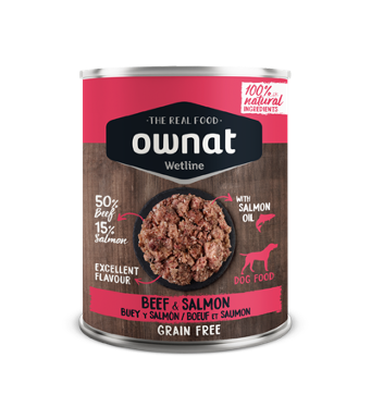 Beef And Salmon Dog 395G
