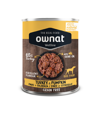 Turkey With Pumpkin Dog 395G