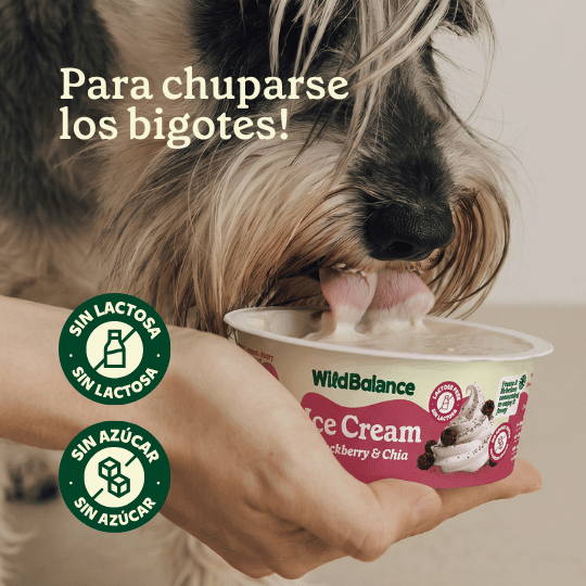 Wild Balance Yogur Congelado – Blackberry & Chia – Sin Lactosa