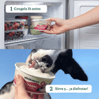 Wild Balance Yogur Congelado – Blackberry & Chia – Sin Lactosa