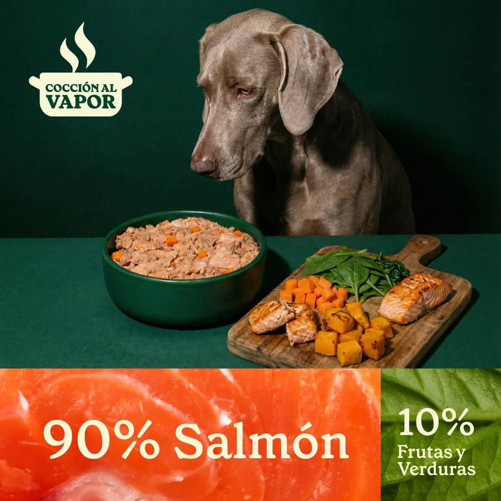 Wild Balance Comida Cocinada Para Perros Congelada - Receta De Salmón
