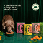Wild Balance Comida Cocinada Para Perros Congelada - Receta De Salmón