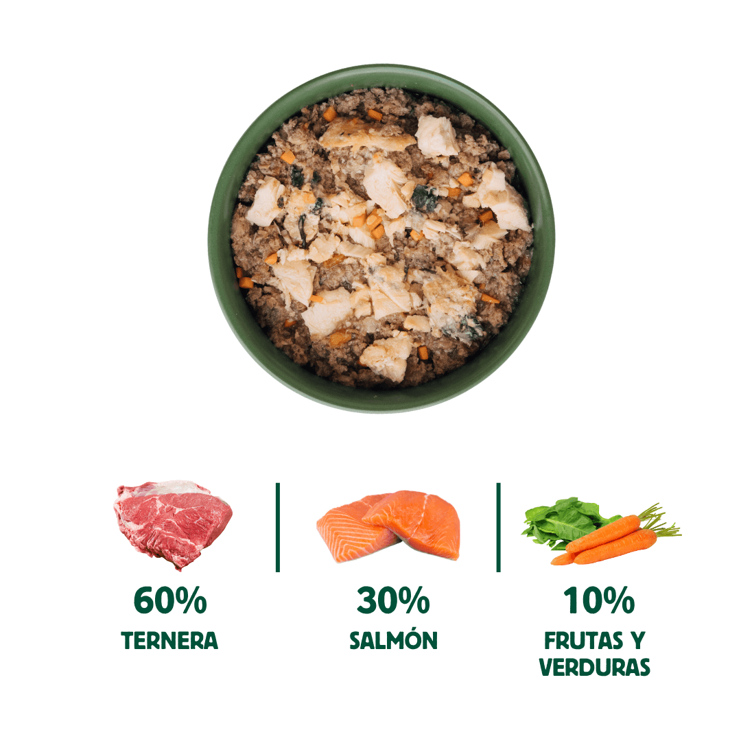 Wild Balance Wet Dog Food - Salmon & Veggie Delight - Adult Dogs