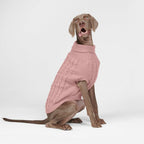 Spark Paws - Jersey de punto trenzado para perros - Pino Verde