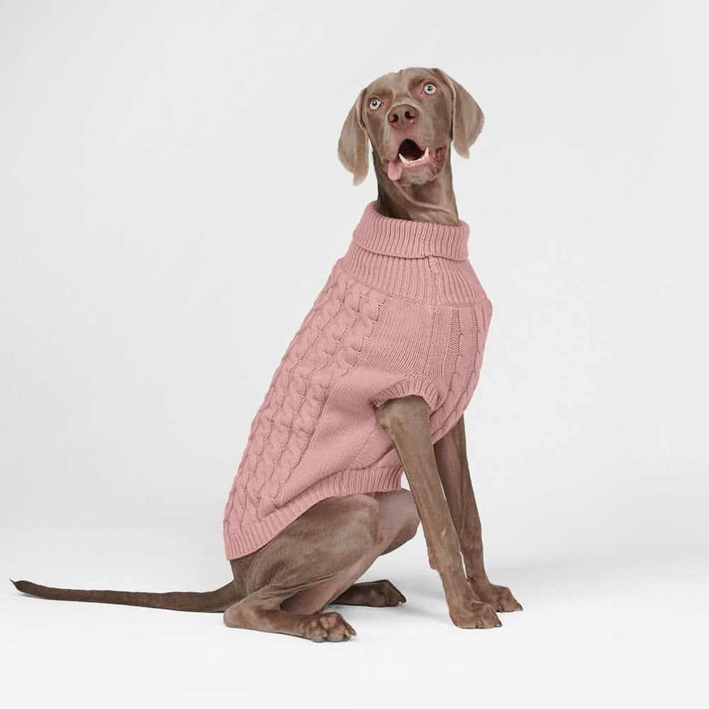 Spark Paws - Jersey de punto trenzado para perros - Pino Verde