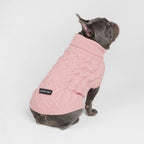 Spark Paws - Jersey de punto trenzado para perros - Pino Verde
