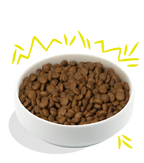 Edgard & Cooper Kibble - Carrot & Zucchini Recipe - Hypoallergenic Adult Dog Food