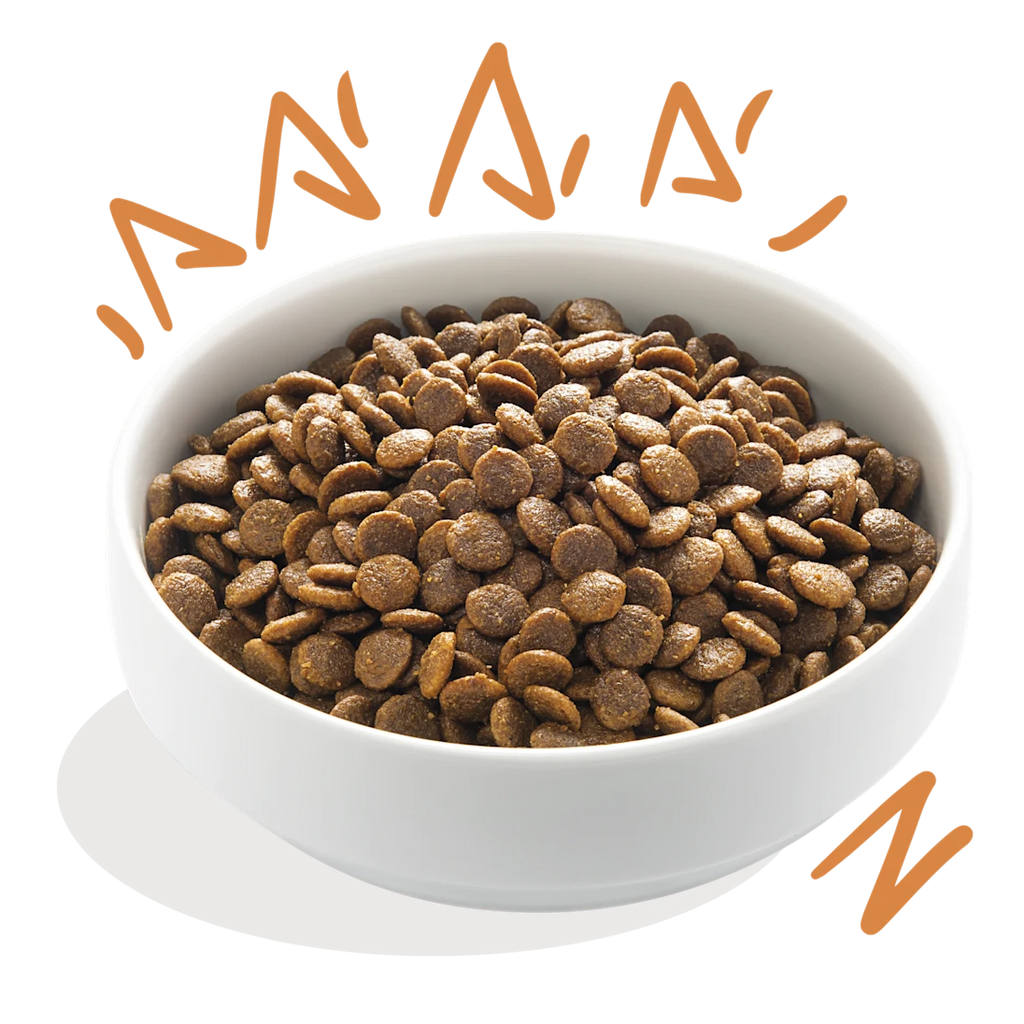 Edgard & Cooper Kibble - Fresh Chicken Grain‑Free - Adult Dogs