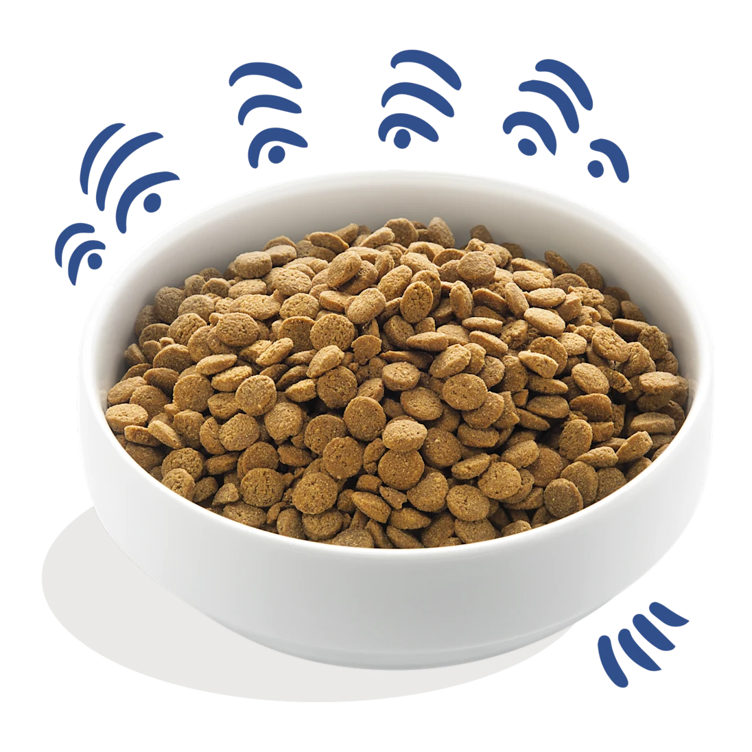 Edgard & Cooper Kibble - Norwegian Salmon - Hypoallergenic Adult Dog Food