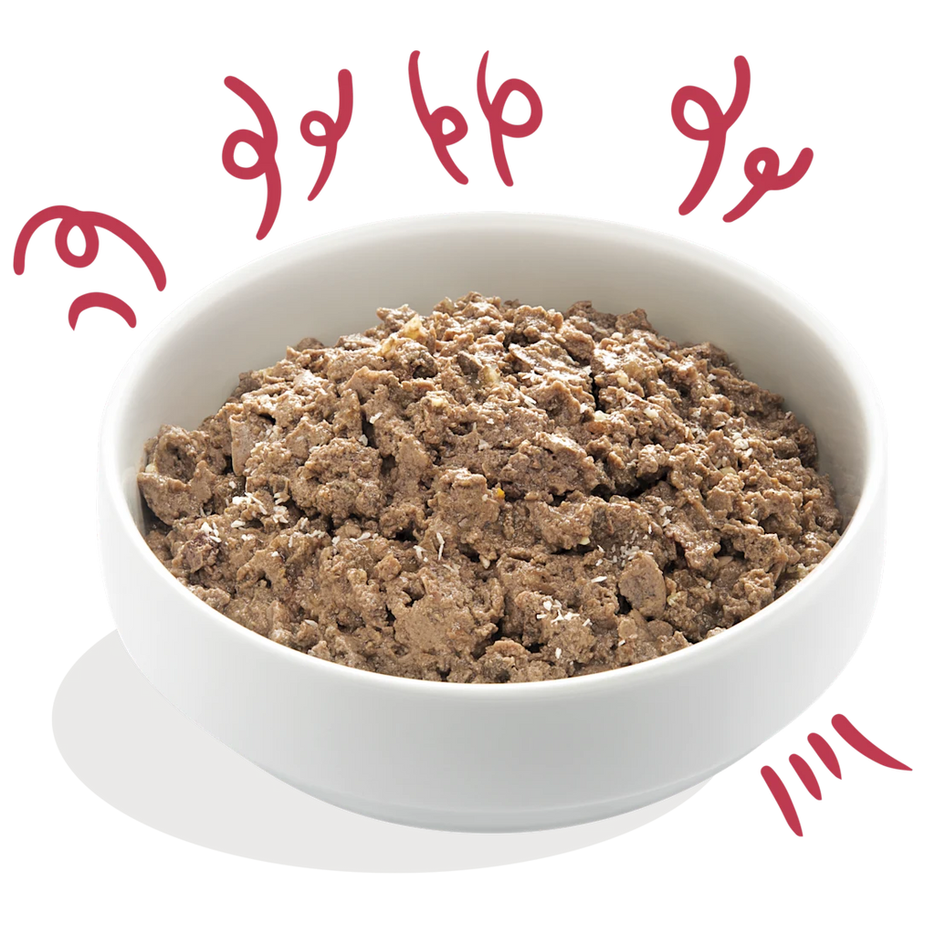 Edgard & Cooper Wet Dog Food - Organic Beef Recipe - Grain‑Free