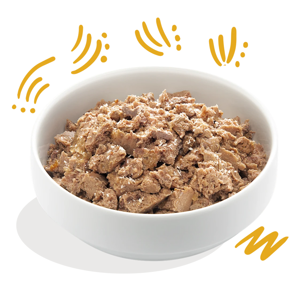 Edgard & Cooper Wet Dog Food - Organic Turkey Grain‑Free - Adult