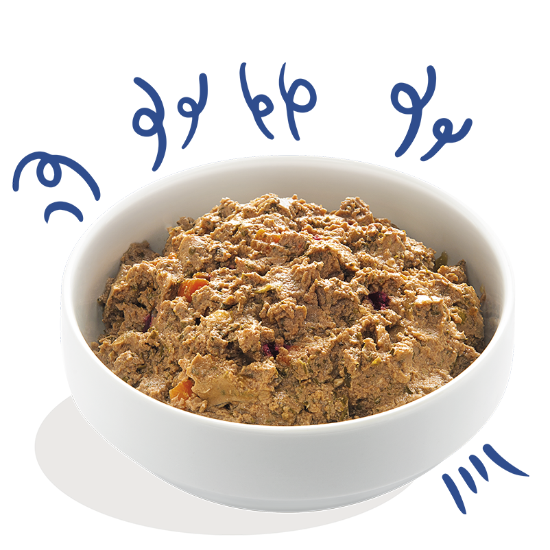 Edgard & Cooper Wet Dog Food - Salmon & Turkey Recipe - Hypoallergenic