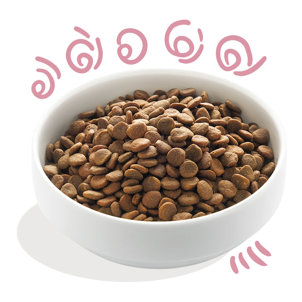 Edgard & Cooper Kibble - Duck & Chicken - Grain‑Free Puppy Food