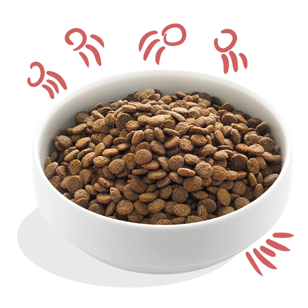 Edgard & Cooper Kibble - Chicken & Salmon - Senior Grain‑Free