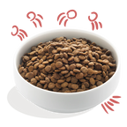 Edgard & Cooper Kibble - Chicken & Salmon - Senior Grain‑Free