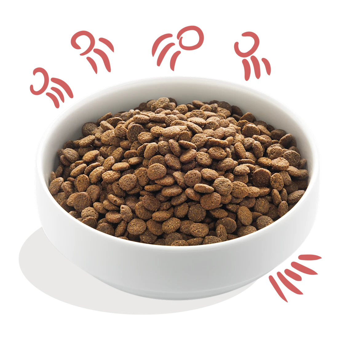 Edgard & Cooper Kibble - Chicken & Salmon - Senior Grain‑Free