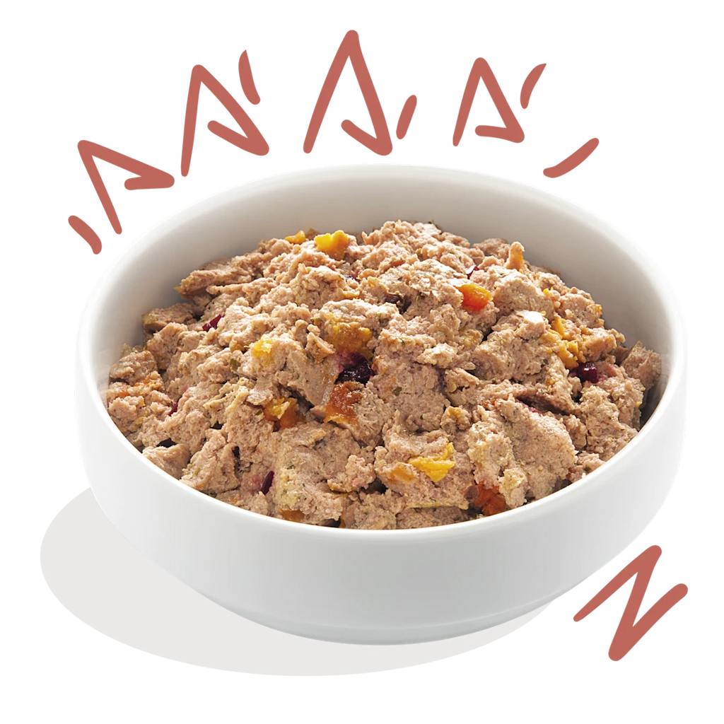 Edgard & Cooper Wet Dog Food - Chicken & Salmon - Grain‑Free Senior