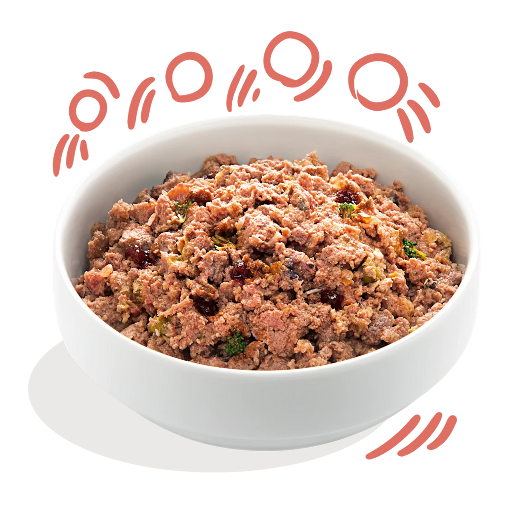 Edgard & Cooper Wet Dog Food - Chicken & ASC Salmon - Senior Grain‑Free