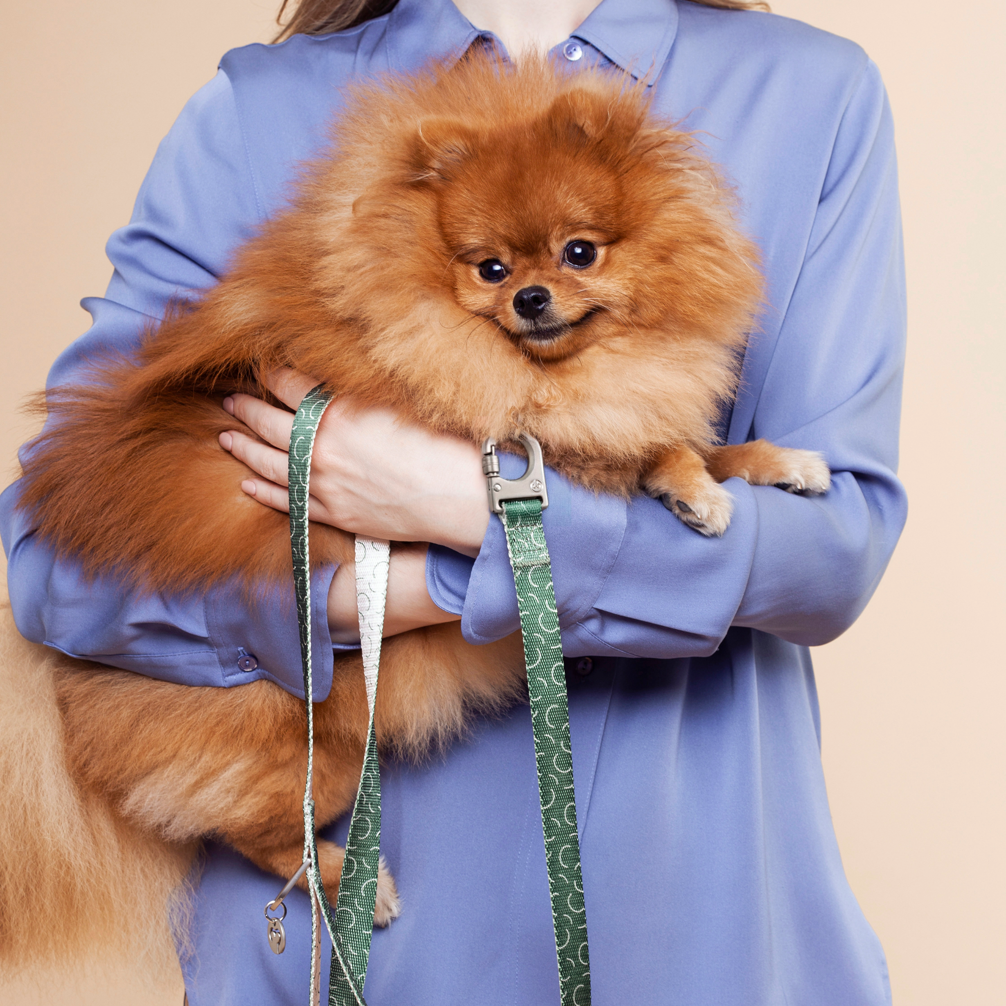 Fur Sie Correa para perros - Sabine