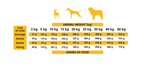 Alpha Spirit Kibble - Poultry - Adult Dogs (The Only One)