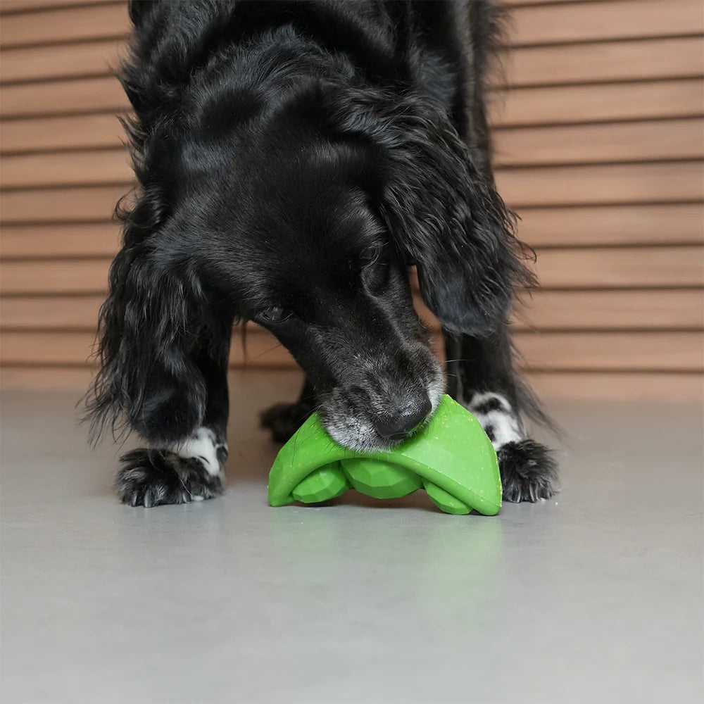 Zee.Dog – Green Bean – Interactive Treat-Dispensing Dog Toy