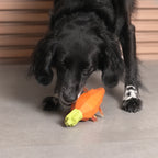 Zee.Dog – Carrot – Interactive Treat-Dispensing Dog Toy