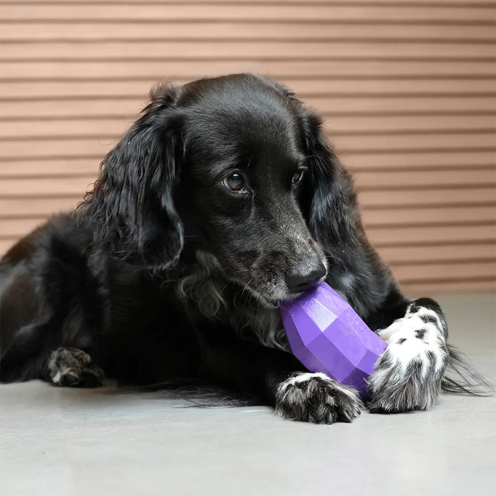 Zee.Dog – Eggplant – Interactive Treat-Dispensing Dog Toy