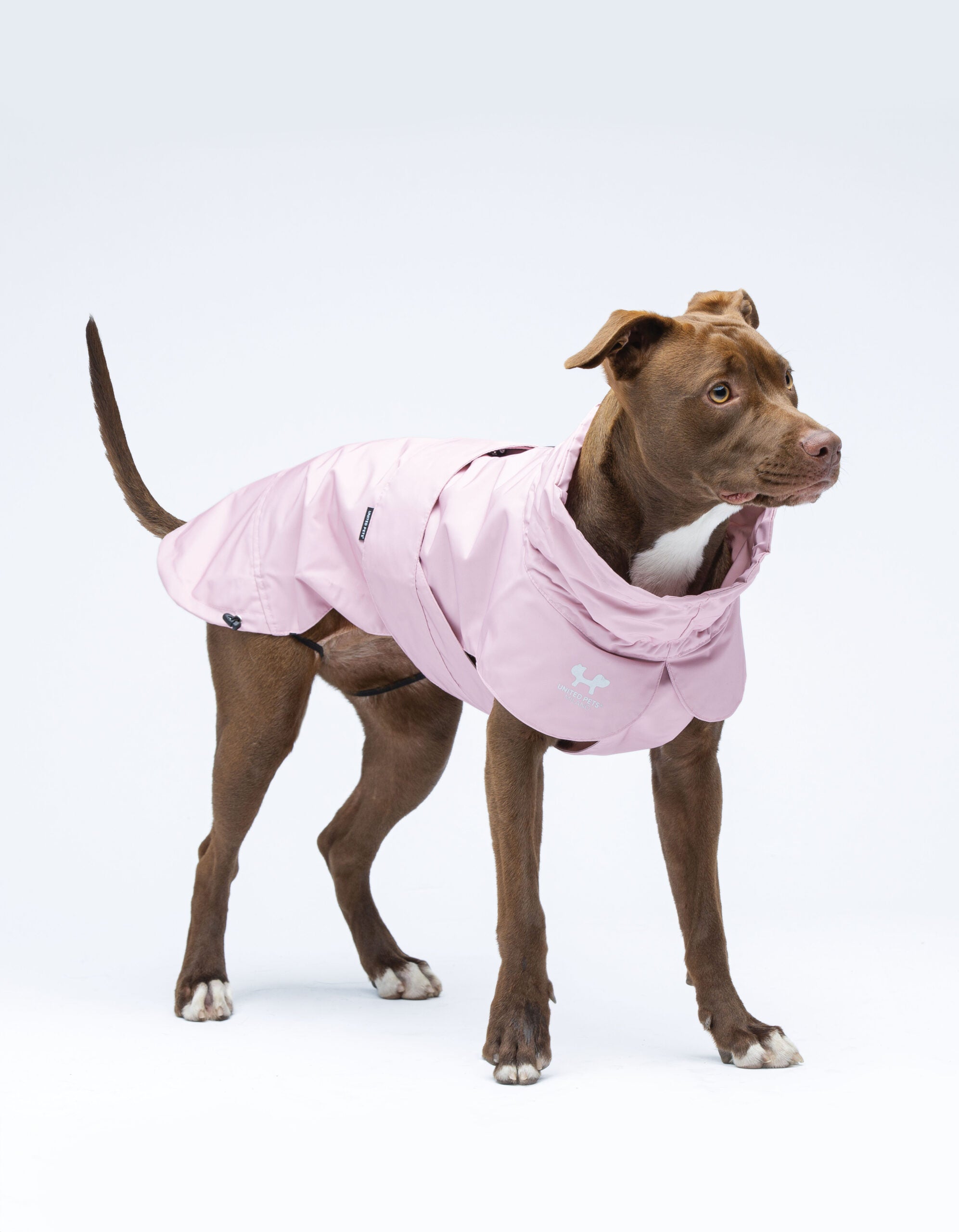 United Pets – Chubasquero de Poliéster suave - Rosa