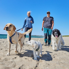 Non-stop dogwear Line Harness 5.0 - Blue - Resilient & Versatile